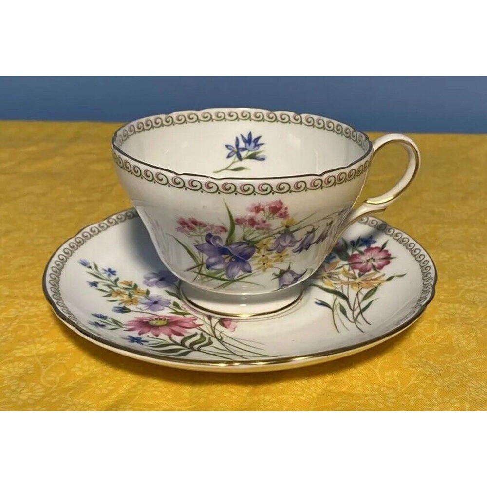 VINTAGE SHELLEY FOOTED FLORAL TEACUP/SAUCER "WILD FLOWERS" 13686 - RETIRED